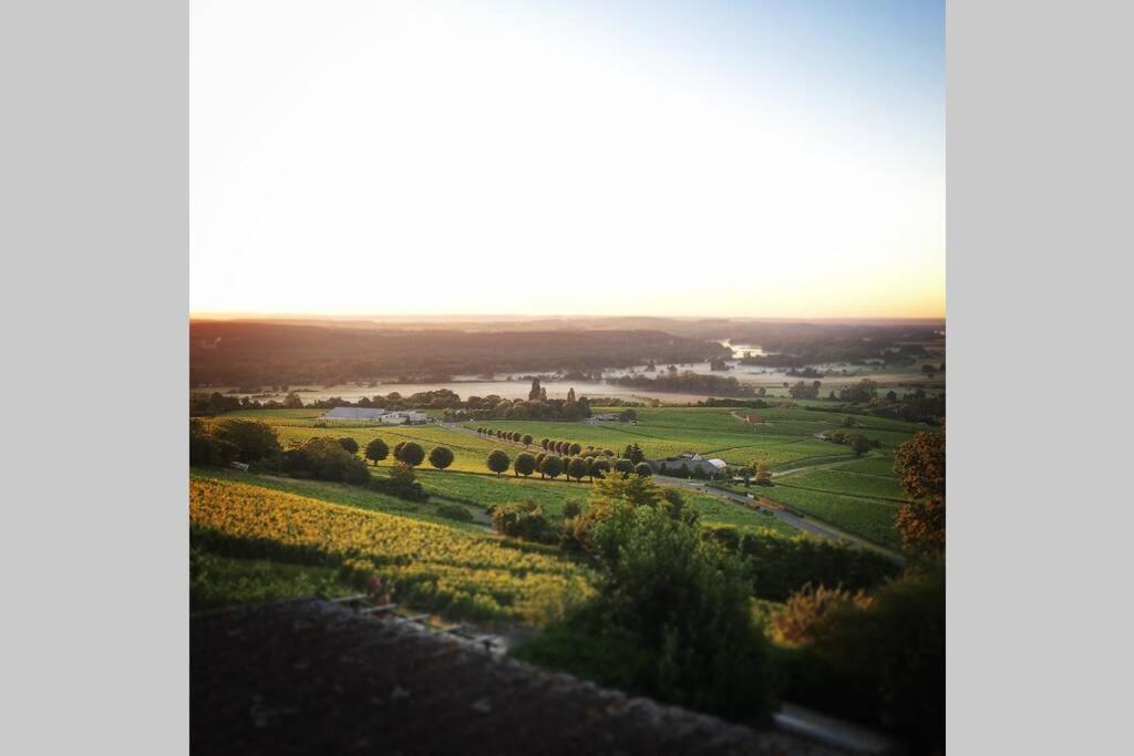Vue Panoramique Sur Le Vignoble Apartment Sancerre Exterior photo