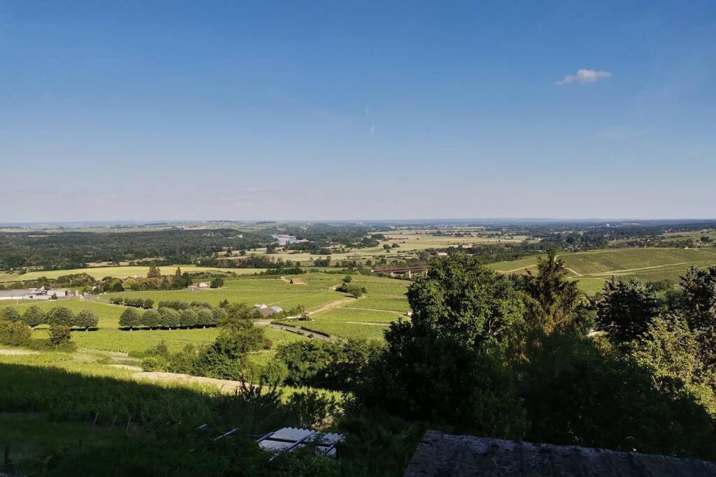 Vue Panoramique Sur Le Vignoble Apartment Sancerre Exterior photo